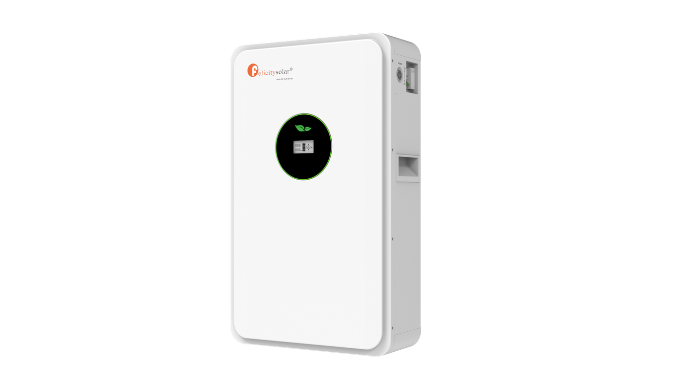 Акумулятор Felicity Solar FLA48100 - фото 3